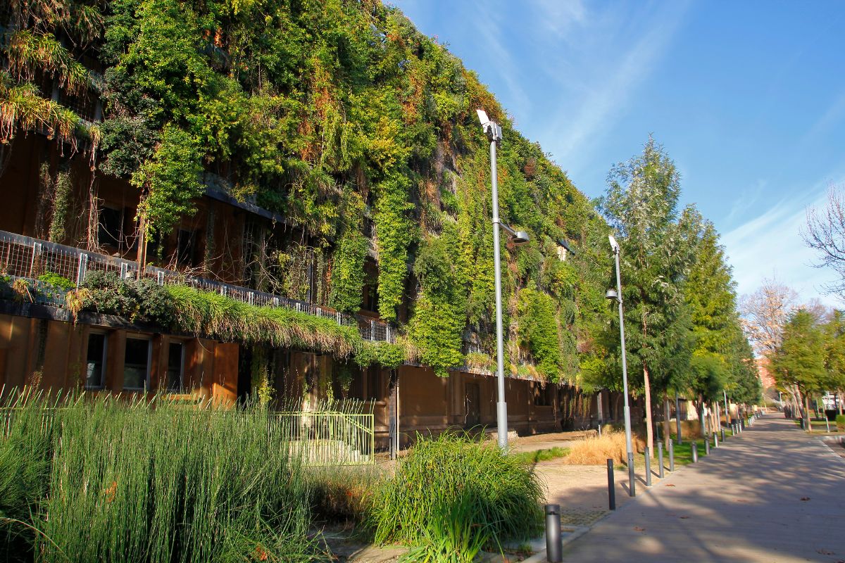 Architettura Green