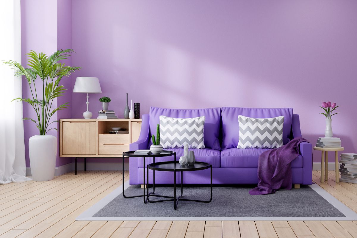 Colore viola