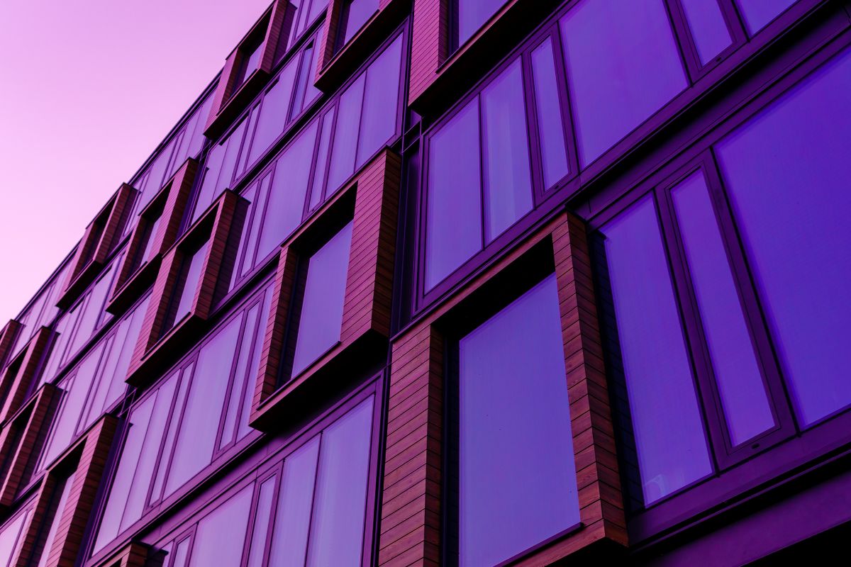 Edificio viola
