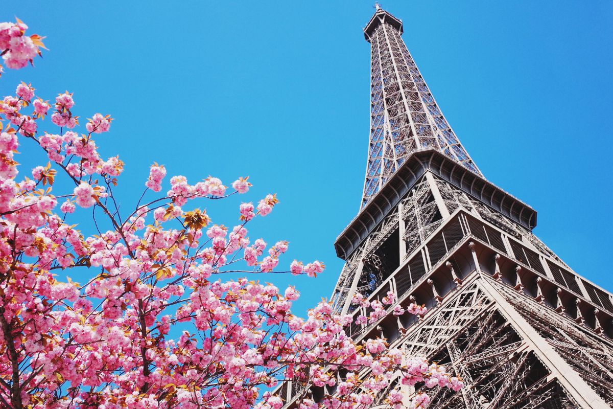 Guadagno Interior Designer a Parigi