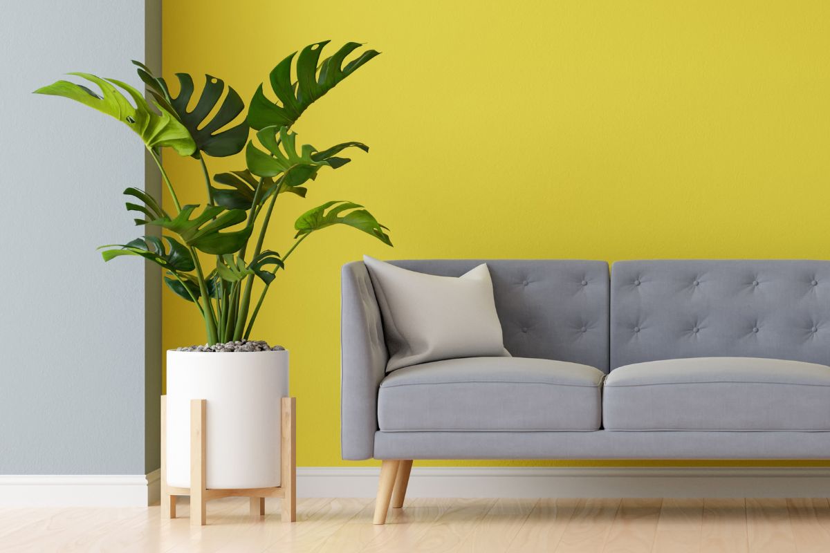 Colore Pantone Ultimate Gray