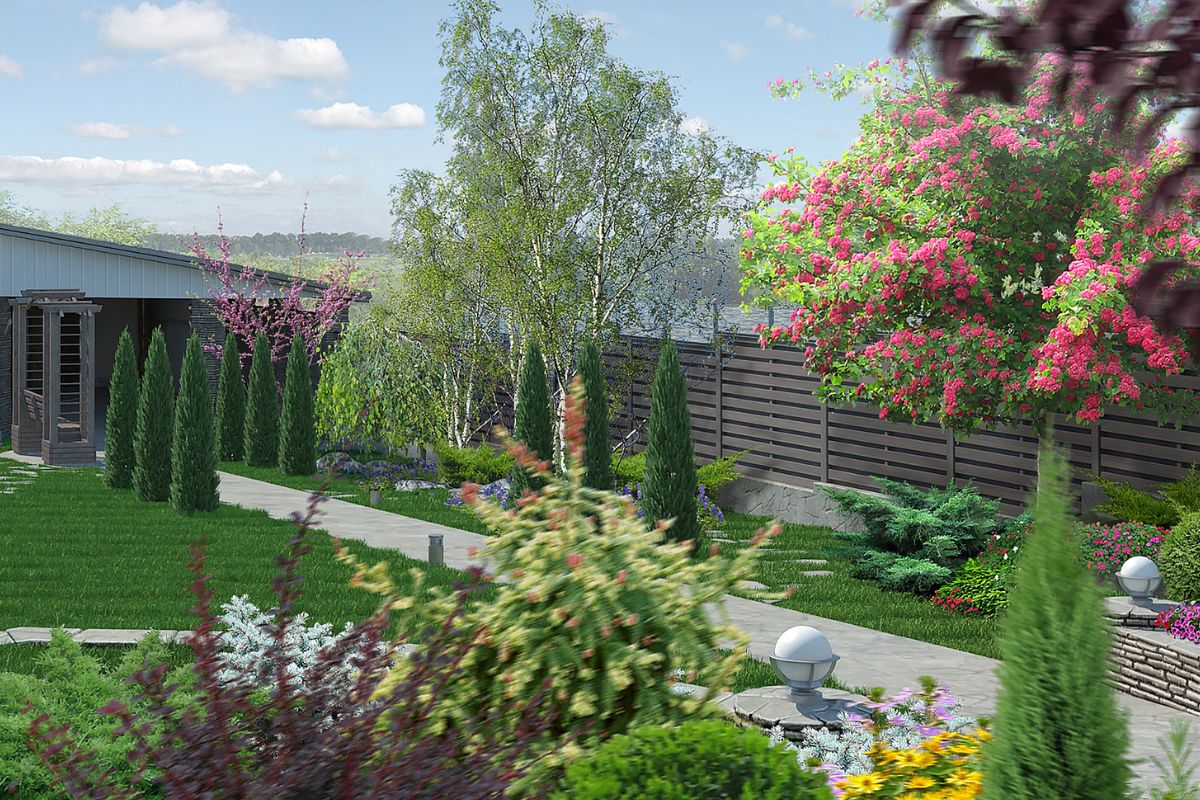 Progettazione di un giardino